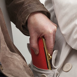 Би Бээжинд хулгай хийж амьдардаг