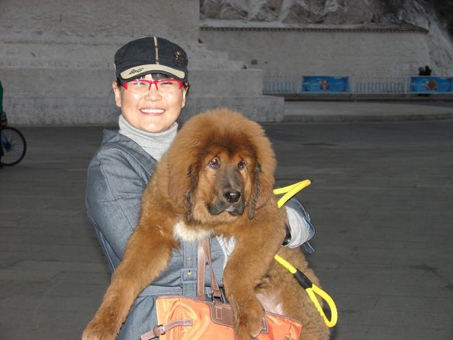 Cкандал: Л.Өлзийтөгс