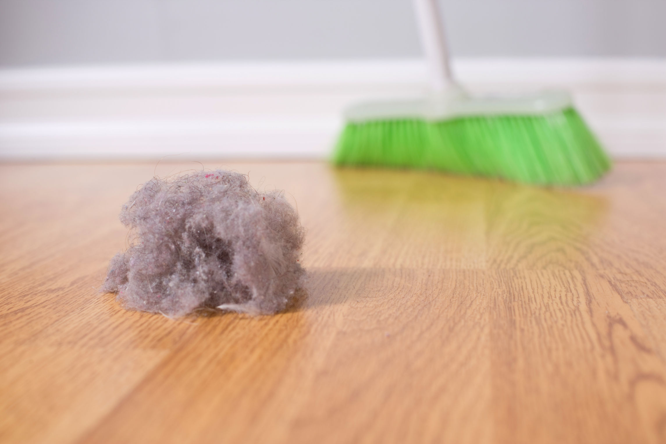 Та тоос сорогчоо зөв сонгосон уу?