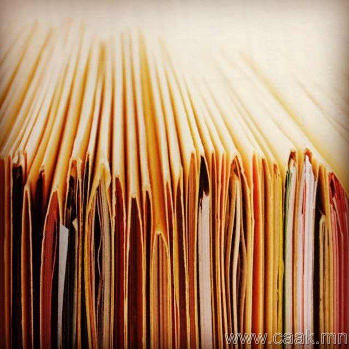 Баянголын цагдаагийн байгууллага 59 хэргийг үндэслэлгүйгээр түдгэлзүүлжээ