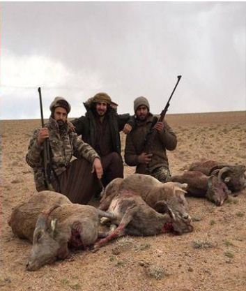 Гадныхан угалз хүйс тэмтэрснээ цахим хуудсандаа гайхуулжээ