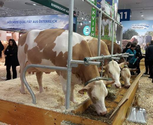 “Тогтвортой хөдөө аж ахуй” төслийн 2 дугаар үе шат МОНГОЛД