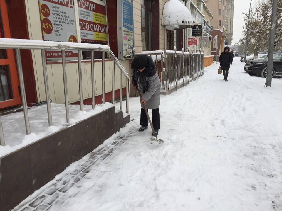 Тэд ийм идэвхтэй ажиллаж байна