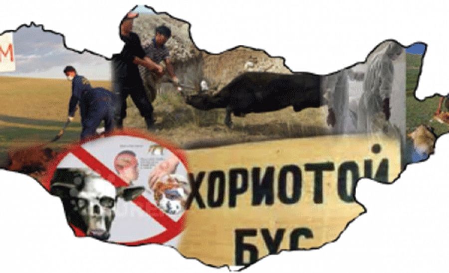 Ховд аймагт хорио цээрийн дэглэм тогтоолоо