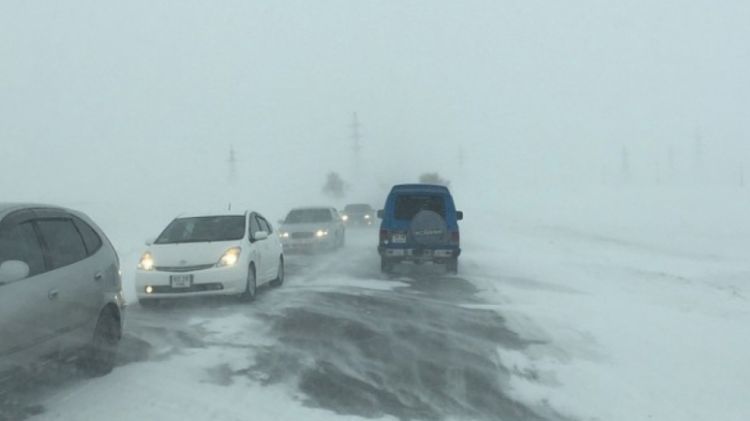 Шороон болон цасан шуурга шуурна