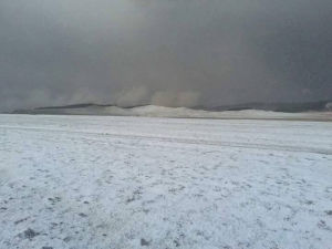 Эрлийн ажиллагааг түр зогсоов