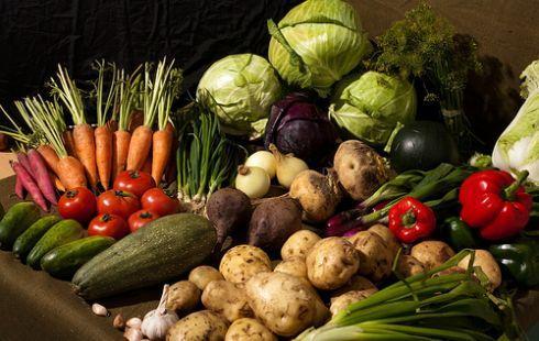 Монголын хөрсөнд ч хортой ногоо ургаж байна уу