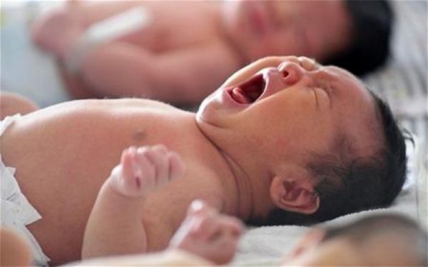 Шинэ оны эхний өдөр 17 хүү, 6 охин мэндэлжээ