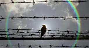 Охидыг хүчирхийлж амь насанд нь хүрсэн цуврал ГЭМТ ХЭРЭГ