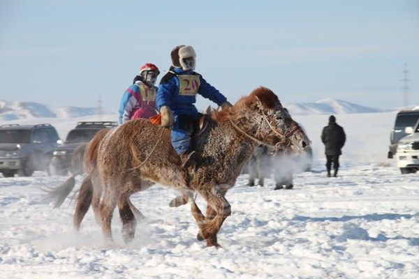 Өвөл хүүхдээр морь унуулвал хуулийн хариуцлага хүлээнэ