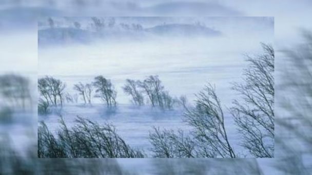 Цасан шуурга шуурч, гамшигт үзэгдэл болно