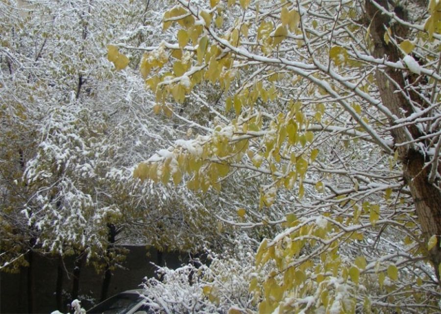 Улаанбаатарт 5-7 хэм дулаан