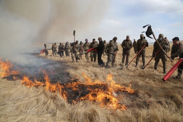 Дорнод, Сэлэнгэ аймагт гарсан хээрийн түймрийг унтраажээ