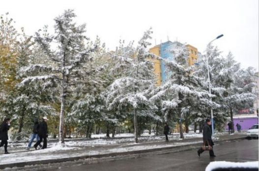 Зарим газраар бага зэргийн цас орж, ихэнх нутгаар хүйтэн байна