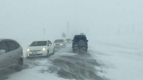 ОБЕГ-т өнгөрсөн амралтын өдрүүдэд 1000 гаруй дуудлага иржээ