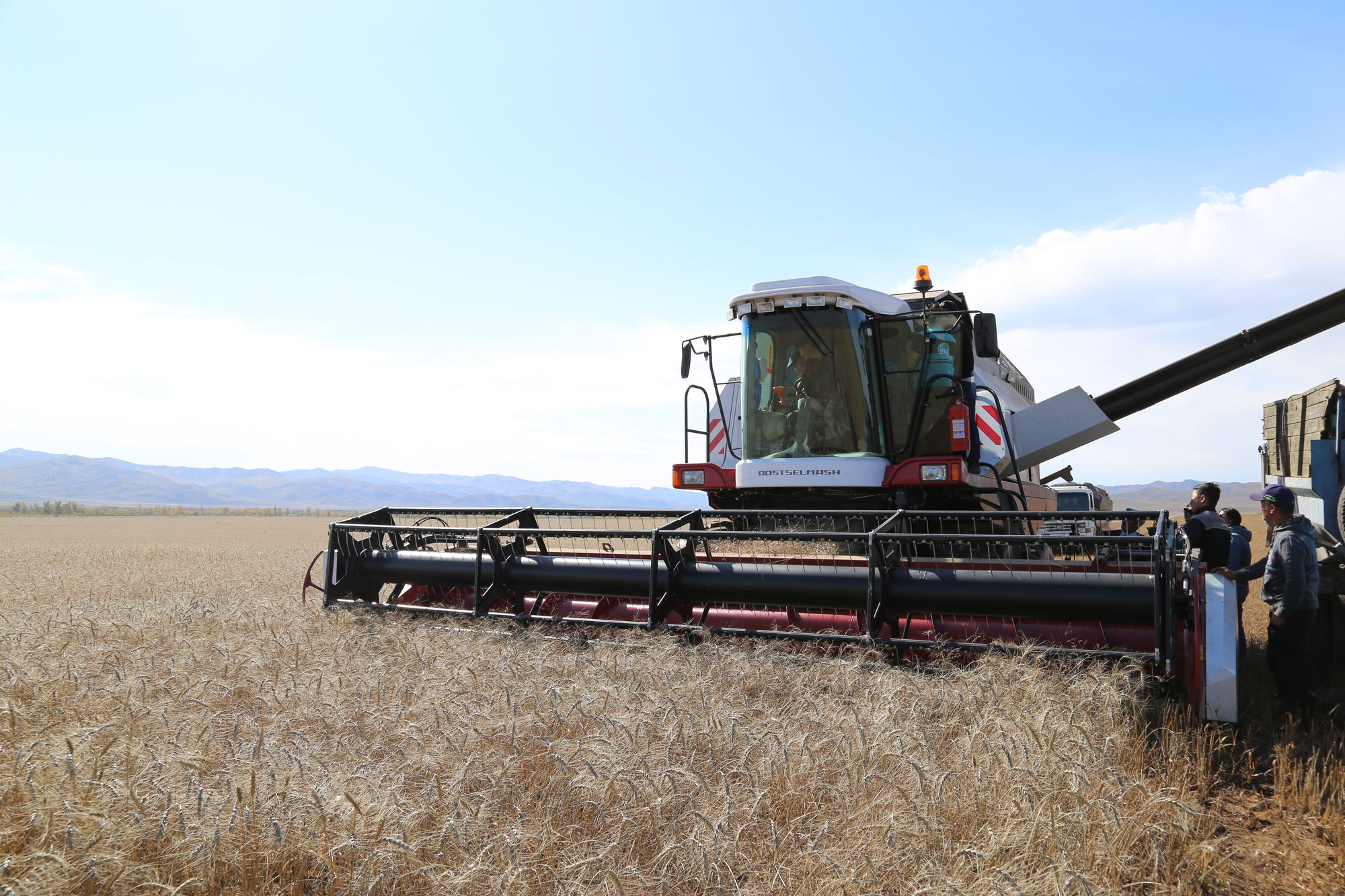 Улсын хэмжээнд ургац хураалтын явц 91 хувьтай байна