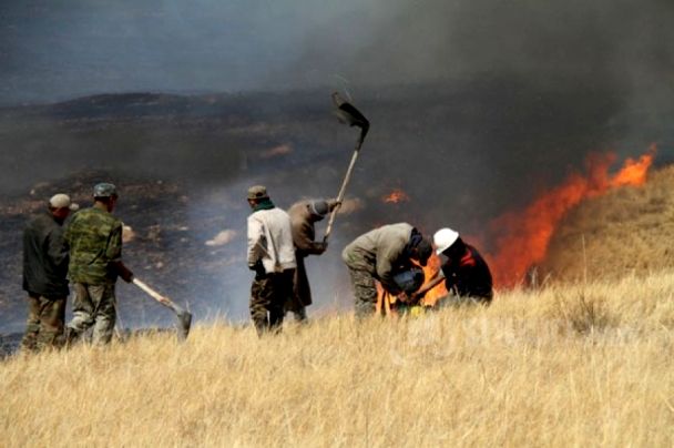 Увс аймагт гарсан түймэр хил давжээ