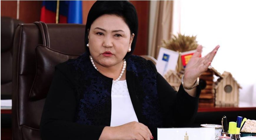 БОАЖ-ын сайд Д.Оюунхорол дэрвэгэр жиргэрүүг түүн бэлтгэж, экспортлохыг хориглолоо