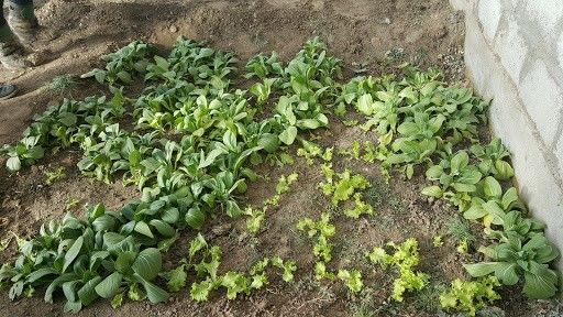 Говь-Алтай аймгаас мэдээллэж байна...