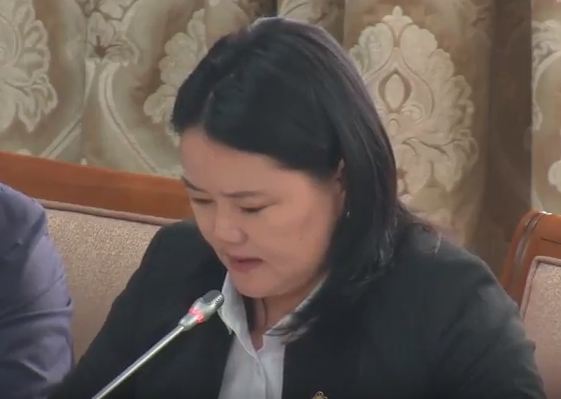 Н.Амарзаяа: Зарим хуулиудад аудит хийж болох уу?