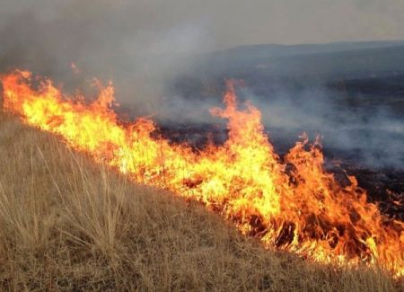 Хяналтын цэгт гал гарч хоёр иргэн амиа алджээ