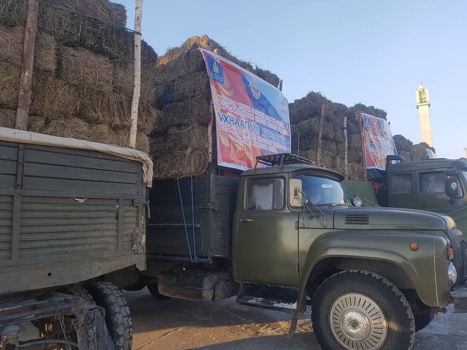 Өвөлжилт хүндэрсэн сумдад улсын нөөцөөс нэмэлт өвс, тэжээл олголоо