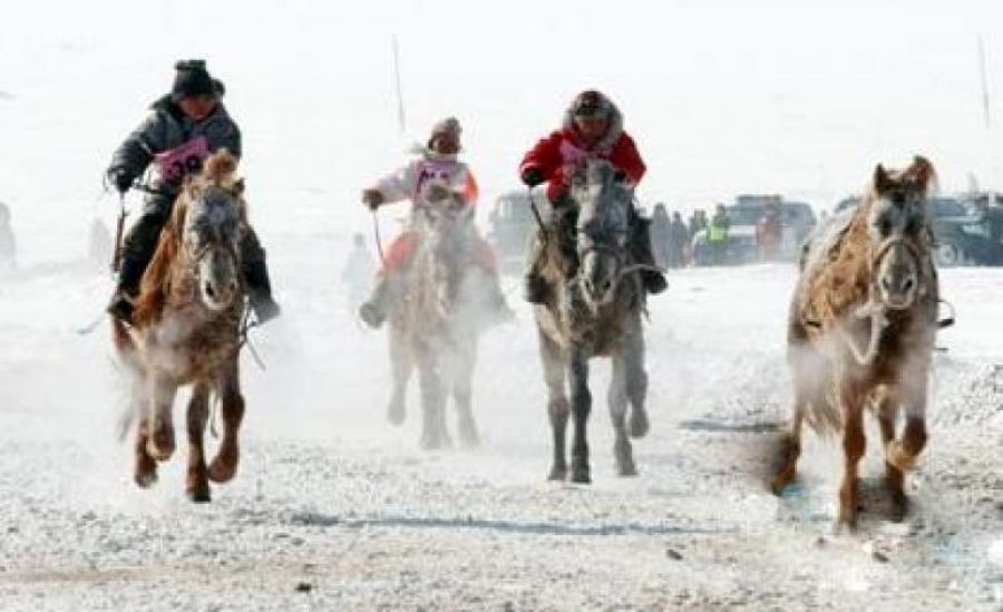 ”Дүнжингарав” төвийн бүсийн хаврын уралдаан болно