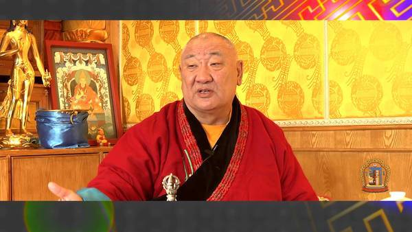 Тахиа жилийн өнгийг ингэж тодорхойлж байна