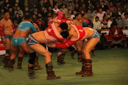 Сар шинийн бөхийн барилдааны тасалбарыг битүүнд худалдаална