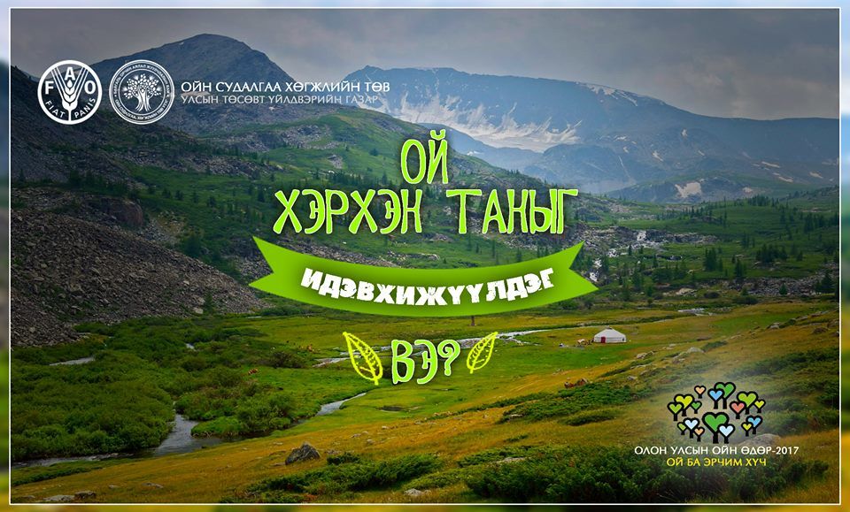 Өнөөдөр ”Олон улсын ойн өдөр” тохиож байна