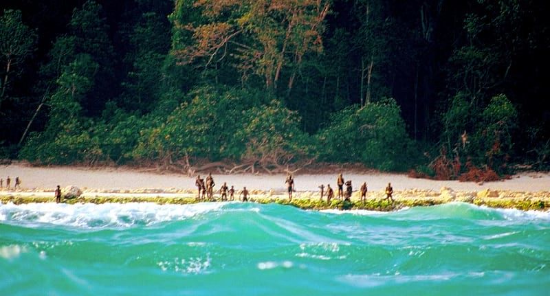 Дэлхий дээрх хамгийн сүүлчийн чулуун зэвсгийн үеийн овог