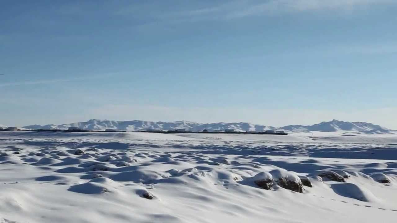 Завхан аймгийн Тэс сумын Засаг дарга амиа хорложээ