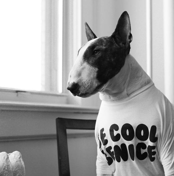 Дэлхийн хамгийн загварлаг нохой