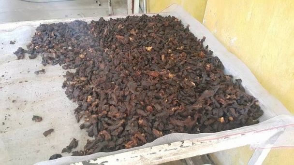 “Бага-Асгат” ХХК-ийн борцны үйлдвэрийн бохир зураг