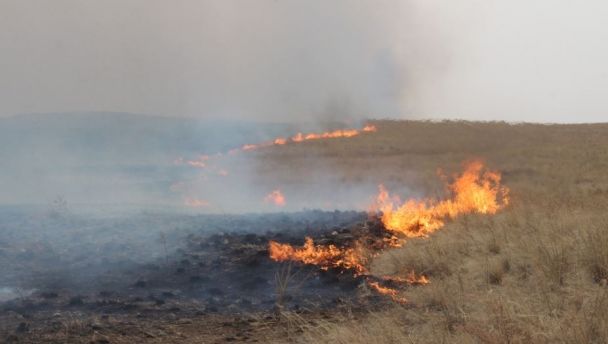 Ой, хээрийн түймэр ихэсчээ