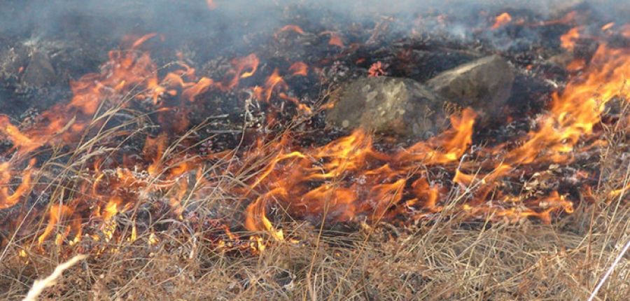 Иргэдийн буруутай үйл ажиллагаанаас болж гал гарвал хорих ял онооно