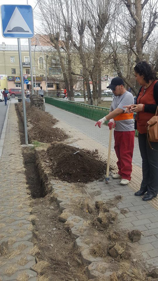 Явган хүний замыг автозамаас тусгаарлан мод тарив