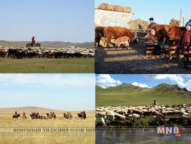 Малчдын улсын зөвлөгөөн болно