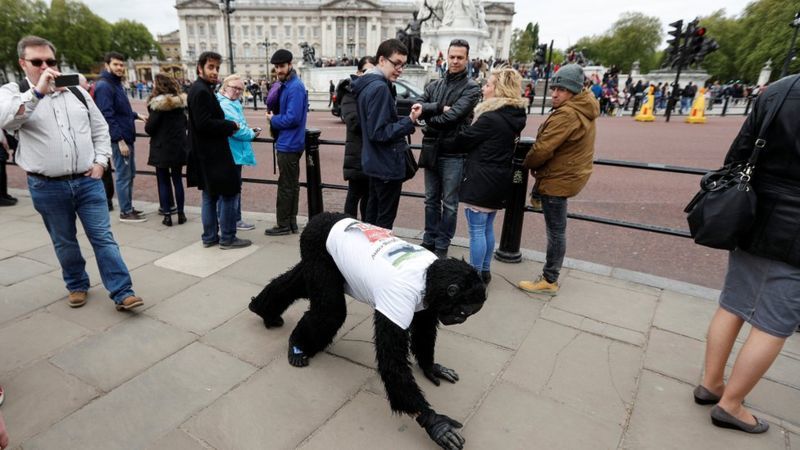 Хандив цуглуулахын тулд 7 хоног дөрвөн мөчөөрөө явжээ