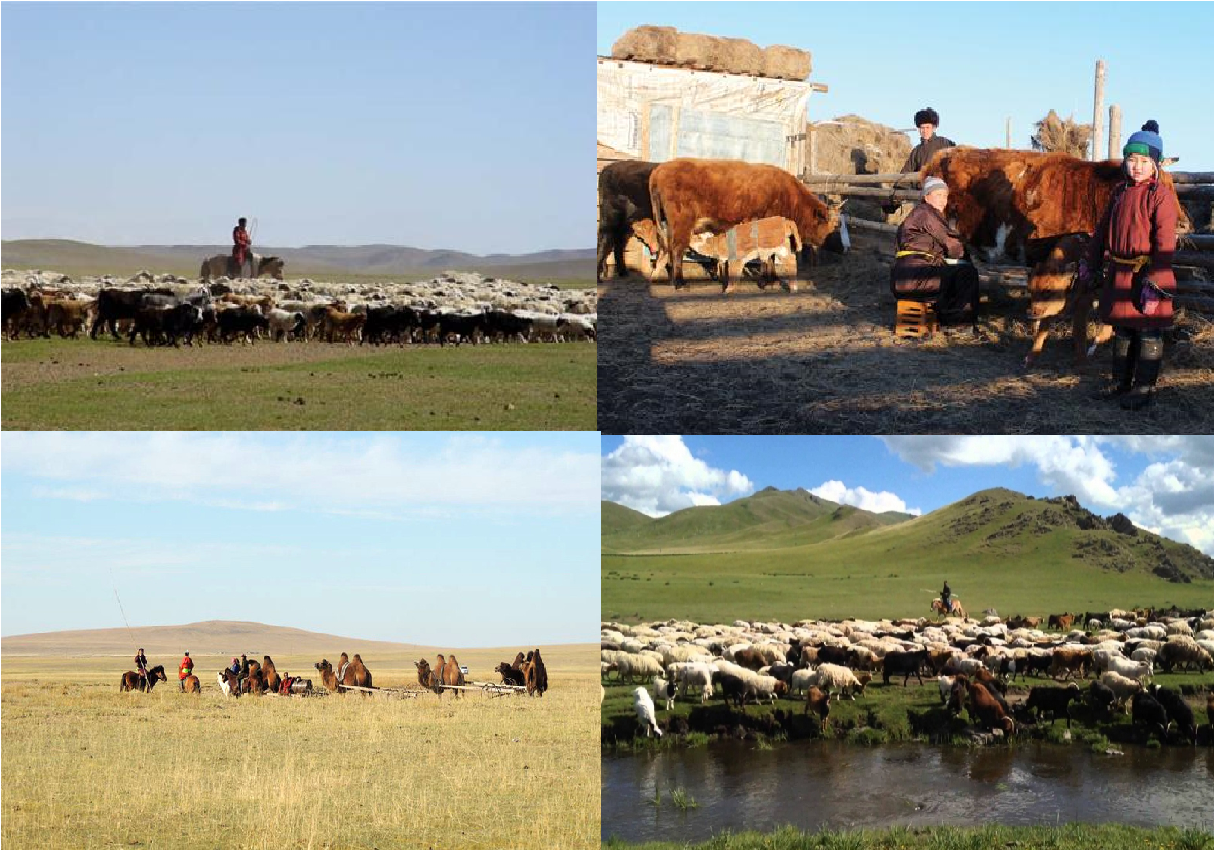 Малчдын улсын зөвлөгөөн  болно