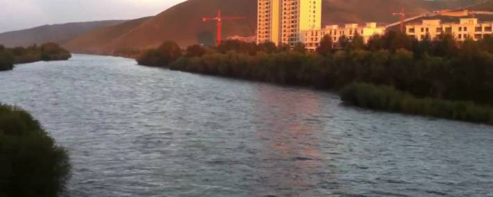 Туул голыг яаж аврах вэ?