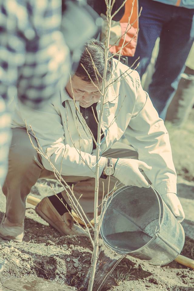 УИХ-ын дарга М.Энхболд үндэсний цэцэрлэгт хүрээлэнд мод тарилаа