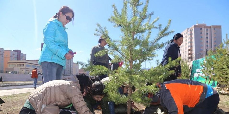 Өнөөдөр бүх нийтээр мод тарина