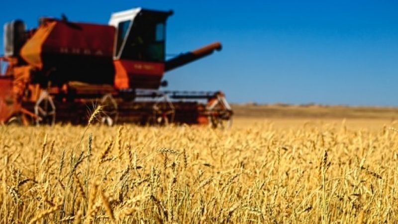 Улсын хэмжээнд хаврын тариалалтын явц 94.6 хувьтай байна