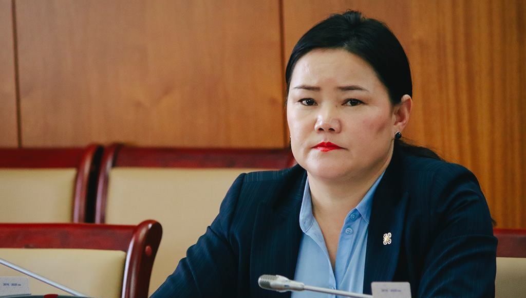 Тэр Говийн хүнээс гарах уужуу ухаанаар л асуудалд хандаж байна