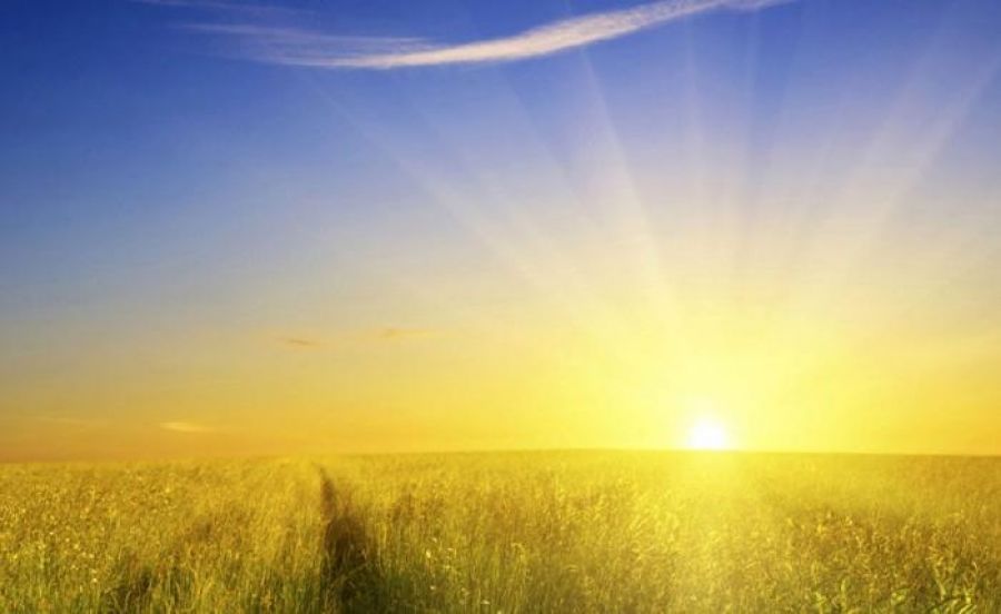 Ойрын өдрүүдэд өдөртөө хална