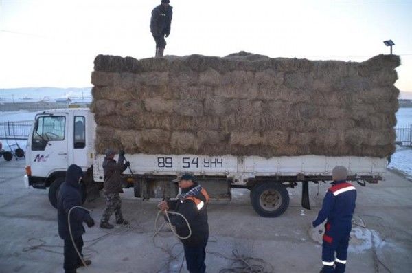 Өвс, тэжээл экспортлохыг хориглолоо