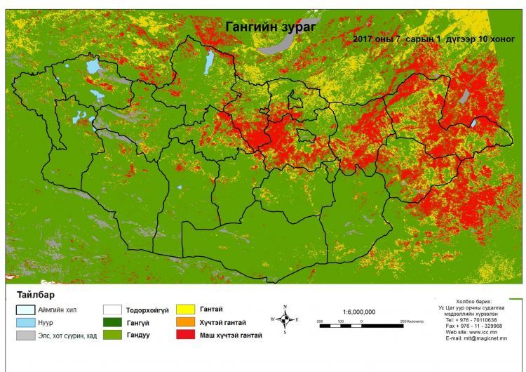 80 гаруй хувь нь зуншлага тааруу, гантай байна