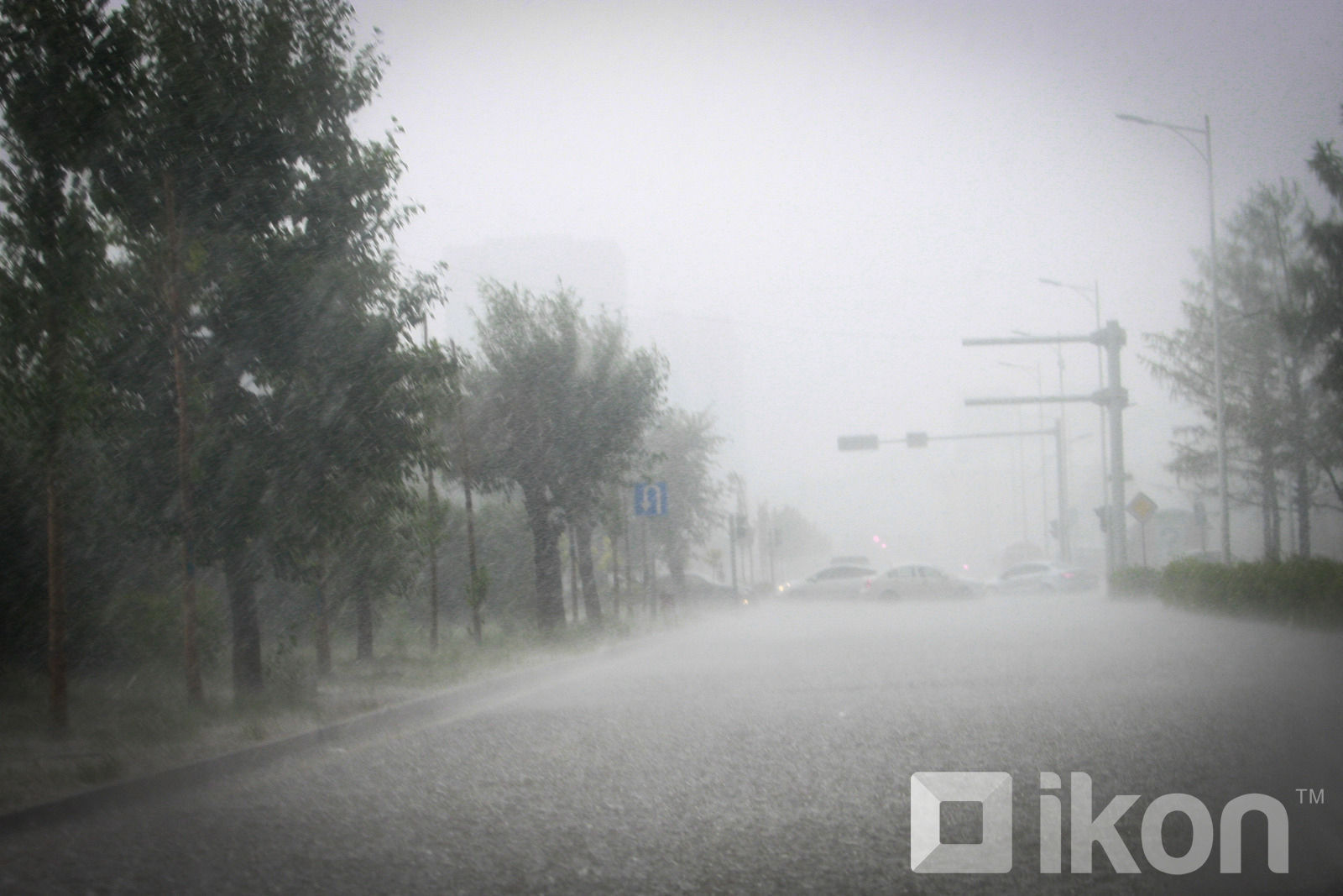 СЭРЭМЖЛҮҮЛЭГ: УСАРХАГ бороо орно