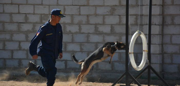 Онцгой байдлын албаны дэргэд эрэлч нохойн алба байгууллаа